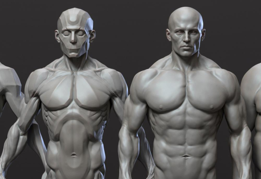 Zbrush 中級 Anatomy（男性）
