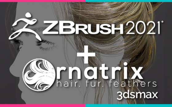 Zbrush 기초 + Ornatrix 패키지